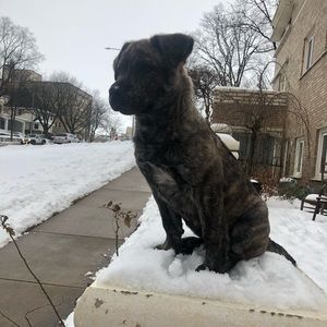 Meet your Posher, Teddy